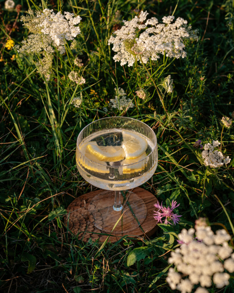 Nora oval coaster on a field with a glass on top